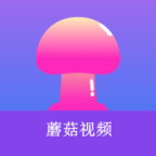 91下载链接APP最新版